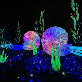 China Lights Wisconsin - Festivals Near Me - Hales Corners, Wisconsin China Lights Wisconsin - Festivals Near Me - Hales Corners, Wisconsin