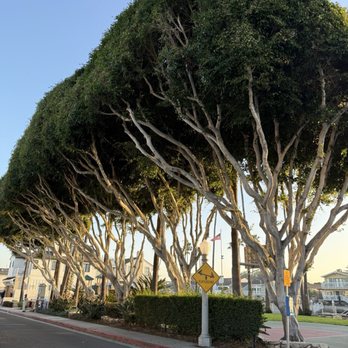 38th Street Park - Basketball Courts Near Me - Newport Beach, California 38th Street Park - Basketball Courts Near Me - Newport Beach, California
