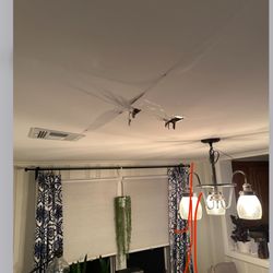 Petro Home Services