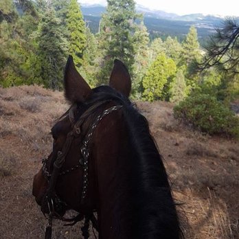 Feather River Stables - Beautiful trail ride with Trail Brothers! - Horseback Riding Near Me - Quincy, California