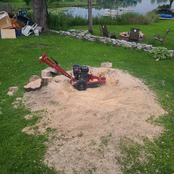 Grin & Grind Stump Removal - Tree Services Near Me Grin & Grind Stump Removal - Tree Services Near Me