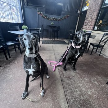 Bemo's - Kylie and Fiona on their dog friendly patio! - American Near Me - Cottleville, Missouri