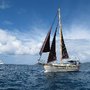 Salty Dog Day Sails