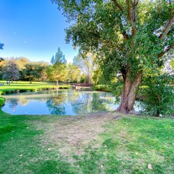 Bicentennial Park - Pond