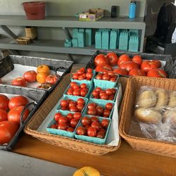 Tomatoes (outstanding)!