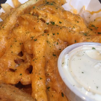 Gazebo Cafe - Cheese Fries - son ordered...surprisingly good! - Cajun/Creole Near Me - New Orleans, Louisiana Gazebo Cafe - Cheese Fries - son ordered...surprisingly good! - Cajun/Creole Near Me - New Orleans, Louisiana
