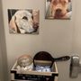 Photo of Dove Mountain Veterinary