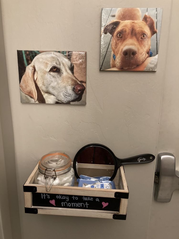 Dove Mountain Veterinary - pet boarding facility in Marana, AZ