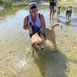 See Spot Behave - Fun times in the water with our new pup friends