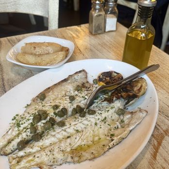 Aliada - Greek Near Me - Astoria, New York