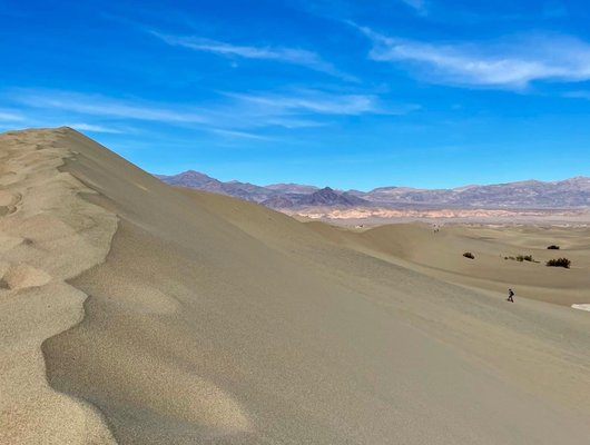 Furnace Creek Campground by null