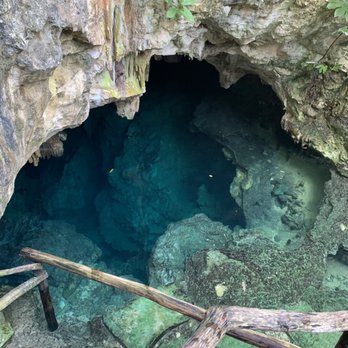 Cenote Tortuga - Local Flavor Near Me - Quintana Roo, ROO Cenote Tortuga - Local Flavor Near Me - Quintana Roo, ROO