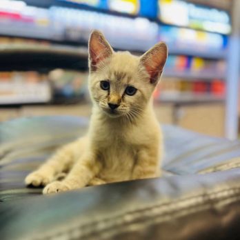 Smoke & vape - Tobacco Shops Near Me - Redding, California Smoke & vape - Tobacco Shops Near Me - Redding, California