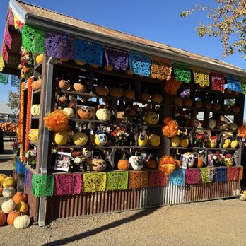 Bishop's Pumpkin Farm - Christmas Trees Near Me - Wheatland, California