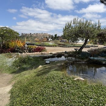 Waterwise Botanicals - Nurseries & Gardening Near Me - Bonsall, California Waterwise Botanicals - Nurseries & Gardening Near Me - Bonsall, California