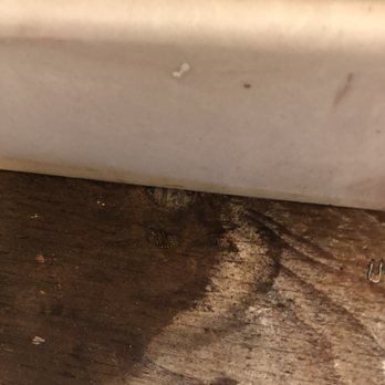 Pinole Floor Covering - Showing the damp area - Flooring Near Me Pinole Floor Covering - Showing the damp area - Flooring Near Me
