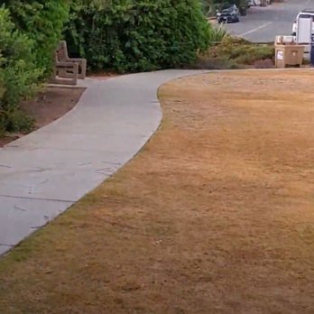 Encinitas Viewpoint Park - One of the two openings that a dog could escape to in traffic. -- this opening is as wide as a car is long. - Parks Near Me