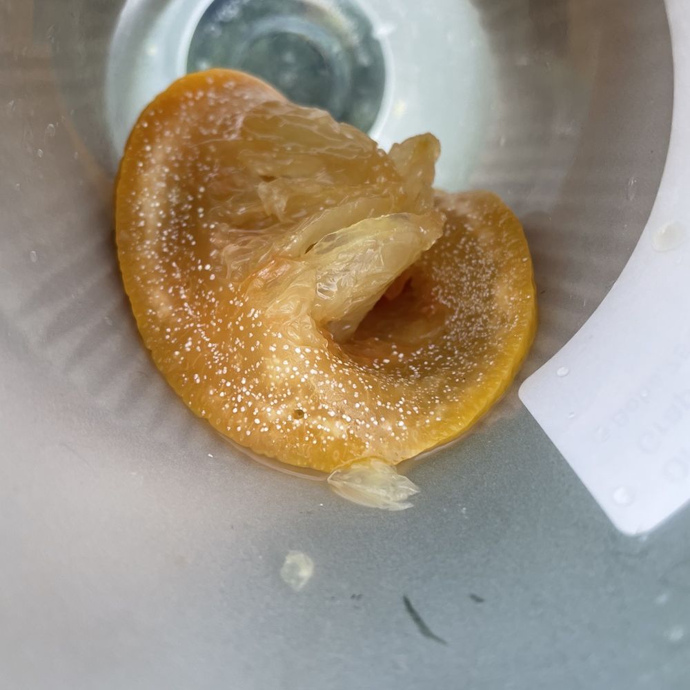 Prolece Tea - Drink - Bubble Tea Near Me - Pasadena, California Prolece Tea - Drink - Bubble Tea Near Me - Pasadena, California