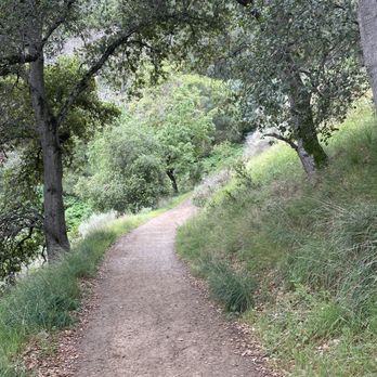 Pleasanton Ridge Regional Park - Castleridge Trailhead - Parks Near Me - Pleasanton, California