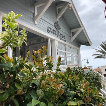 Gum Tree Cafe - Australian Near Me - Hermosa Beach, California Gum Tree Cafe - Australian Near Me - Hermosa Beach, California