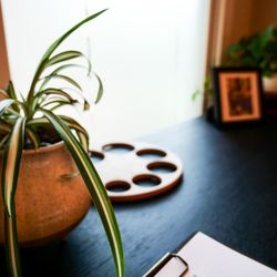 North Texas Midwifery - Inside the NTXM office