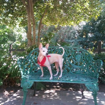 Bidwell Mansion State Historic Park - I mostly loved the garden it was colorful and huge and pretty i NEED to come again-doggy - Museums Near Me - Chico, California Bidwell Mansion State Historic Park - I mostly loved the garden it was colorful and huge and pretty i NEED to come again-doggy - Museums Near Me - Chico, California