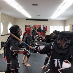 Mixed Combative Systems
