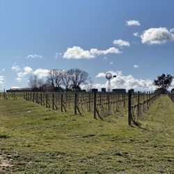 Clonakilla Wines