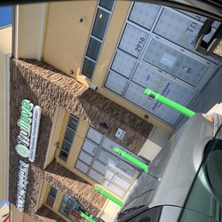 Trulieve Tampa Dispensary Busch