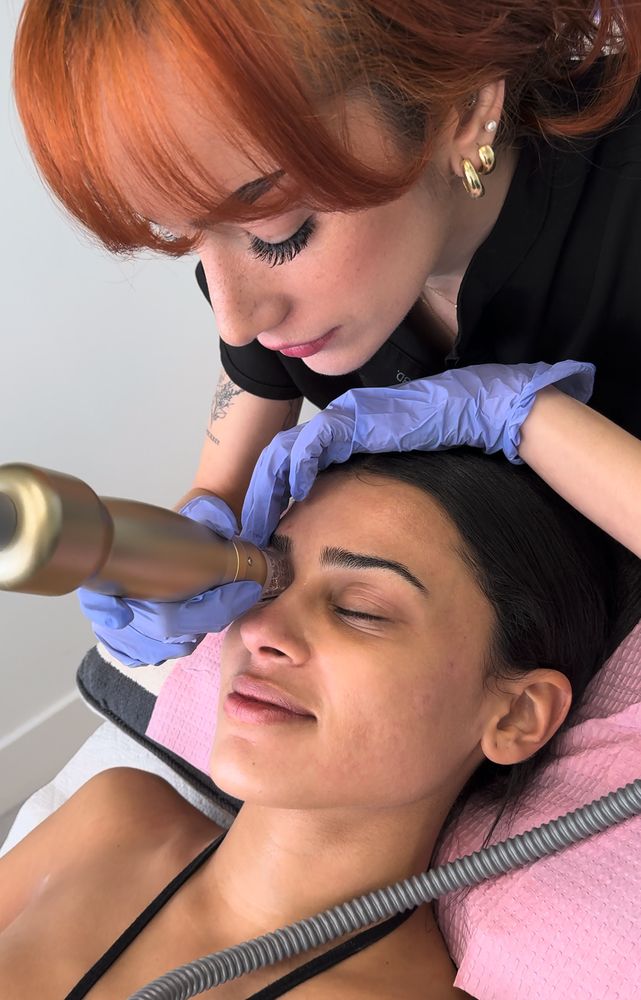 Designer Aesthetics by Dr Jarrett Schanzer Logo