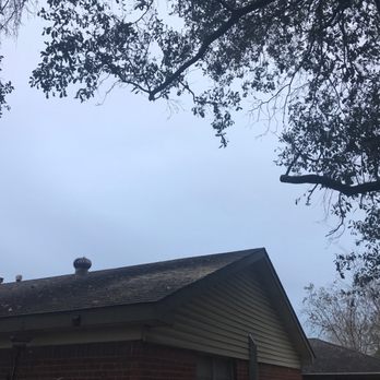 Long Horn Tree Solution - Per request, cleaned and trimmed branches over the roof. - Tree Services Near Me