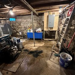 Vacasa Management of Cottage - Water and mold in the basement
