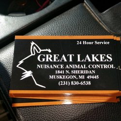 Greatlakes Nuisance Animal Control - All the necessary info!