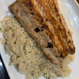 Longhorn Salmon Longhorn Salmon