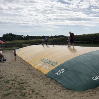 Eckert's Millstadt Fun Farm - Pick Your Own Farms Near Me - Millstadt, Illinois
