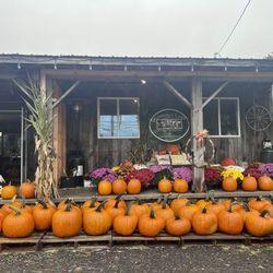 Kimberly Farm - Outside view