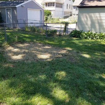 Treecare - Almost like it wasn't there - Tree Services Near Me Treecare - Almost like it wasn't there - Tree Services Near Me