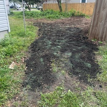 Poor Folks Tree Service - Tree Services Near Me - Virginia Beach, Virginia Poor Folks Tree Service - Tree Services Near Me - Virginia Beach, Virginia