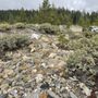 Photo of City Of Rough And Ready