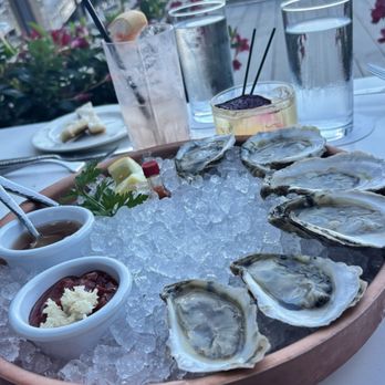 SAVR - oysters - dodge cove, maine - American Near Me - Boston, Massachusetts