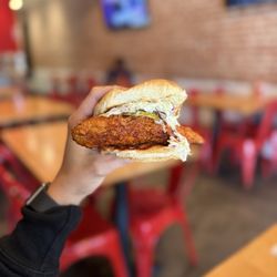 Angry Chickz - Extra Slider