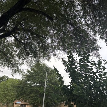 Garcia Professional Tree Service - My tree and yard after the trim and cleanup! Gorgeous! - Tree Services Near Me - Katy, Texas Garcia Professional Tree Service - My tree and yard after the trim and cleanup! Gorgeous! - Tree Services Near Me - Katy, Texas