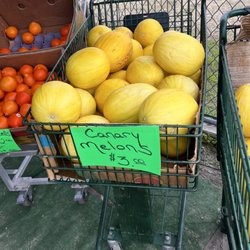 The Stand - Canary Melons