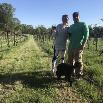 Monte Alegre Vineyard & Cellars - Vineyard - Wineries Near Me - Carbondale, Illinois