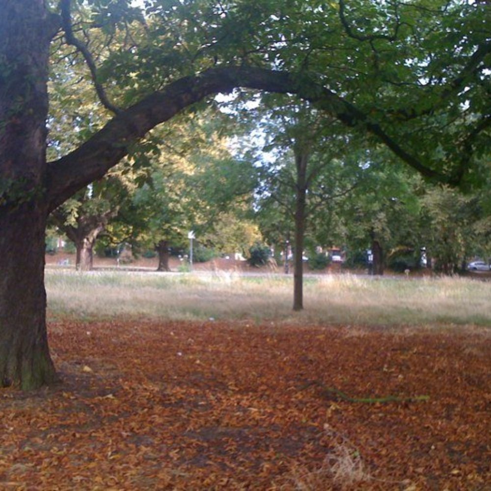 Ealing Common - Parks Near Me - London, XGL