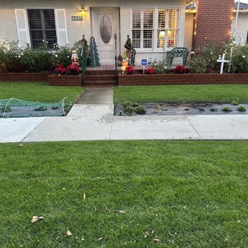 Ciro Landscape - Put seed in front yard - Irrigation Near Me - Costa Mesa, California Ciro Landscape - Put seed in front yard - Irrigation Near Me - Costa Mesa, California