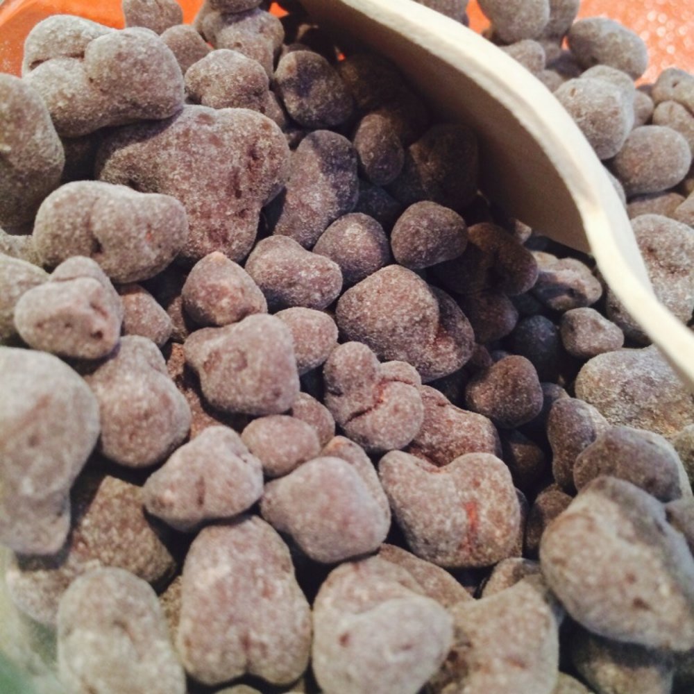 Fruition Chocolate Works - Covered with jalapeño - Chocolatiers & Shops Near Me - Shokan, New York Fruition Chocolate Works - Covered with jalapeño - Chocolatiers & Shops Near Me - Shokan, New York