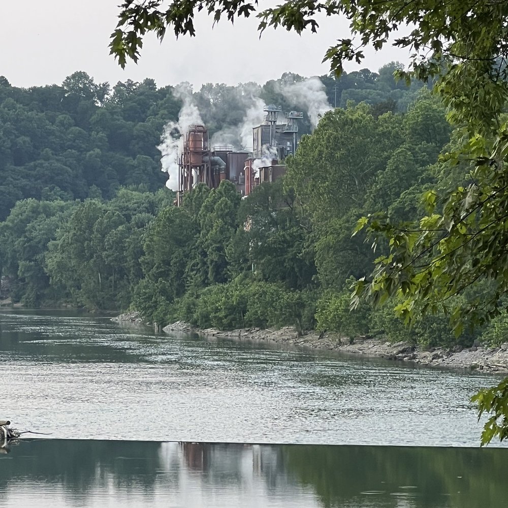 Limewater - Salad Near Me - Frankfort, Kentucky Limewater - Salad Near Me - Frankfort, Kentucky