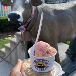 Cookies and Cream - Strawberry cheesecake ice cream, a pumpkin spice cookie, & praline ice cream.. all a 10/10