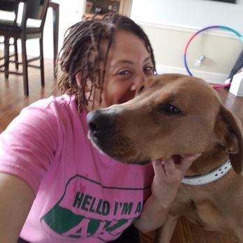 Wolfkeeper University - Pet Training Near Me - Chicago, Illinois
